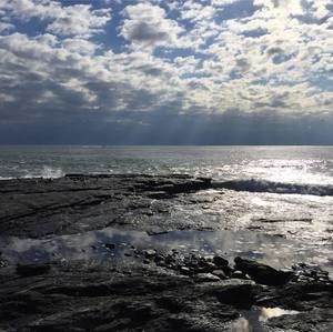 Meet your Posher, Gloria